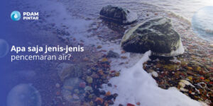 jenis-pencemaran-air